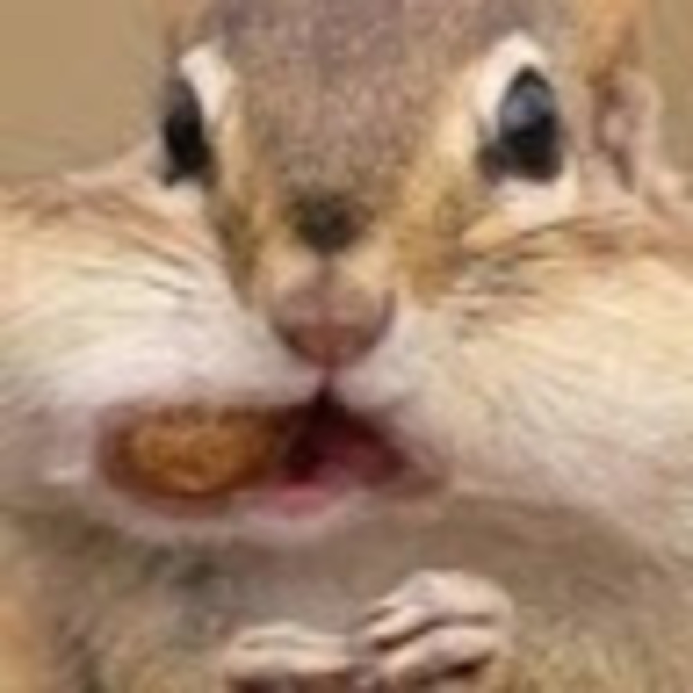 Meet your Posher, Rebecca